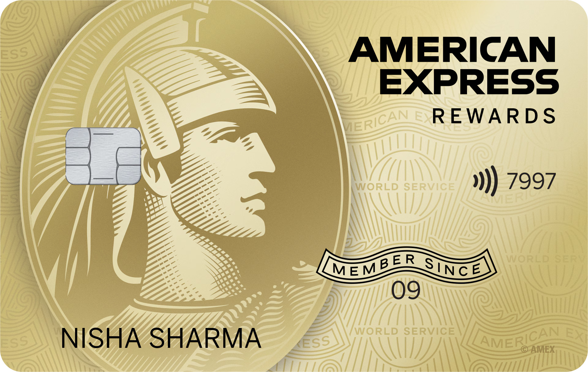 American Express Membership Rewards Credit Card